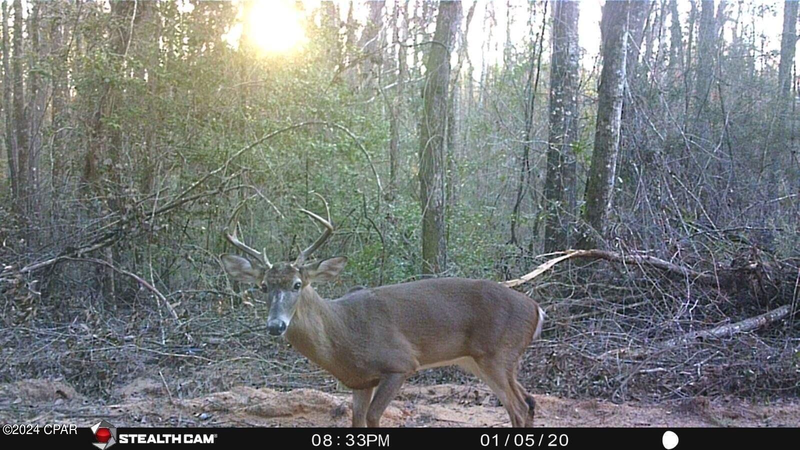 3773 Pine Log Road Chipley, FL 32428 - Photo 20 of 22