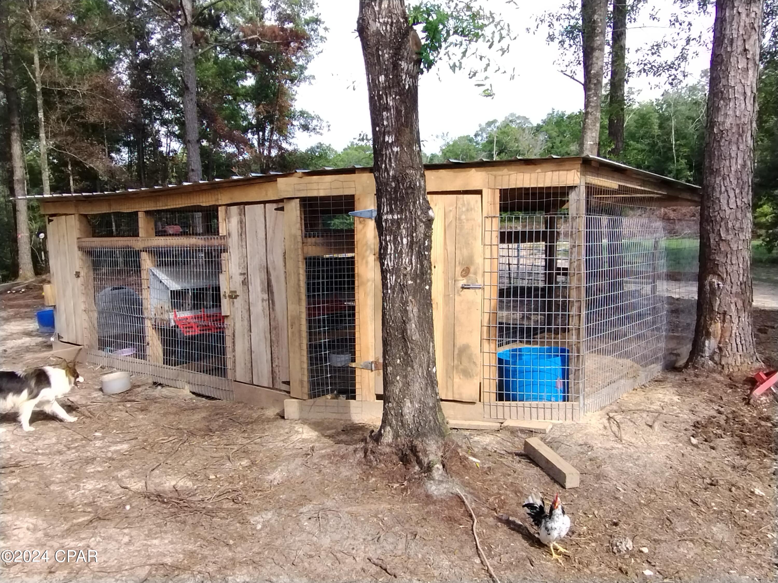 3773 Pine Log Road Chipley, FL 32428 - Photo 8 of 22