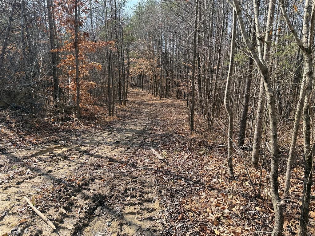 1200 Purcell Road Reidsville, NC 27320 - Photo 31 of 50