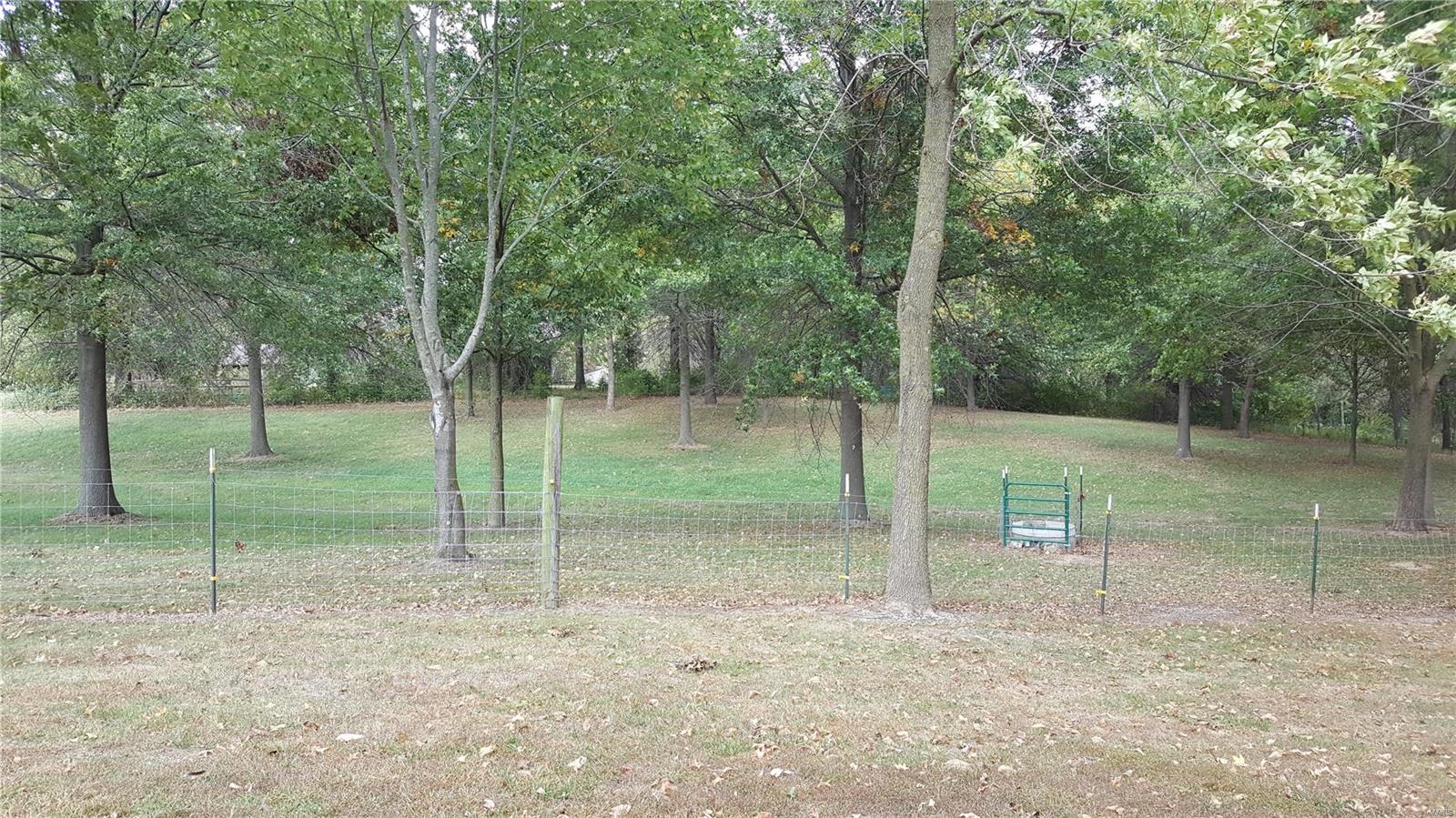 11513 Hoyt Monken Road Highland, IL 62249 - Photo 19 of 32 Gallery Image 19