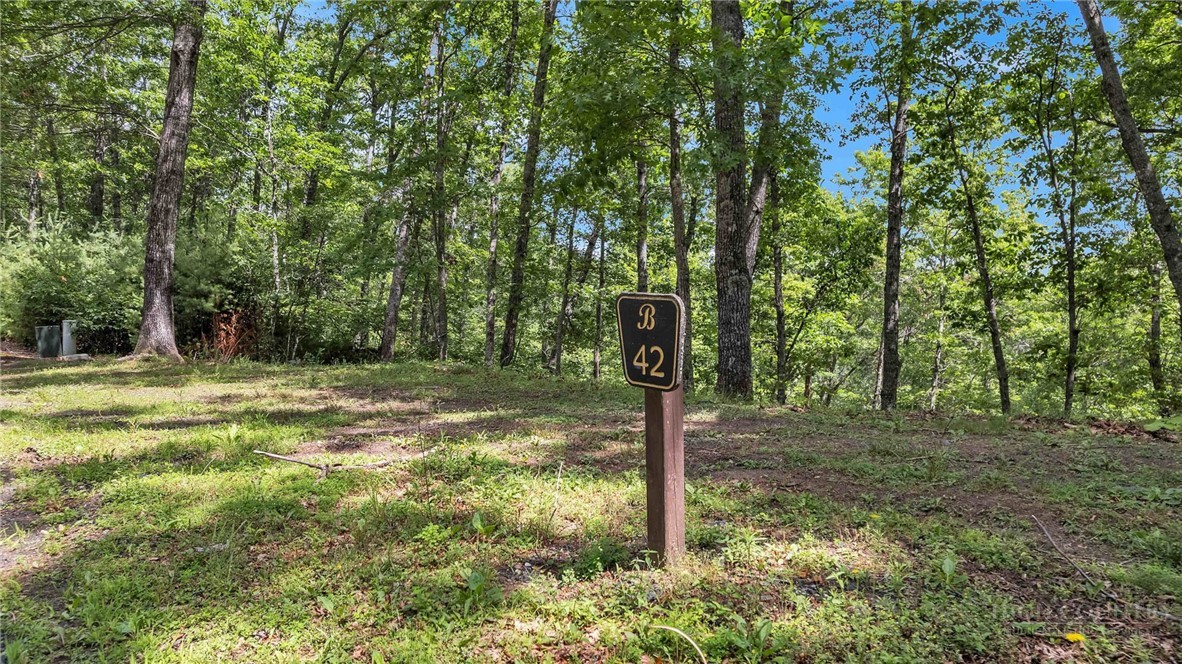 Lot 42 Smoke Rise Path West Jefferson, NC 28694 - Photo 3 of 9