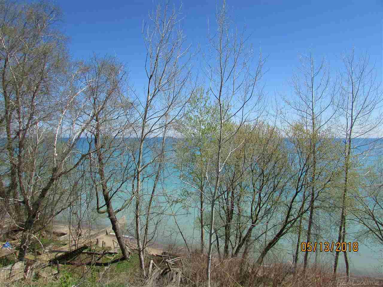2881 Lakeshore Road Applegate, MI 48401 - Photo 15 of 22 Gallery Image 15