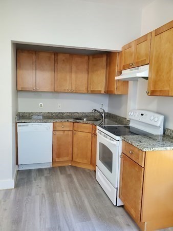 49 Fottler Road, Unit 6 Boston, MA 02126 - Photo 3 of 11 Gallery Image 3