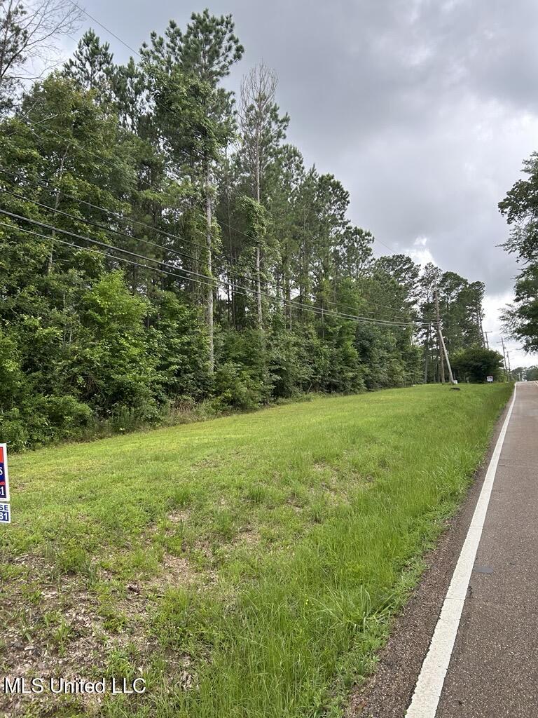 Billy Fortune - Old Whitfield Rd - Land2