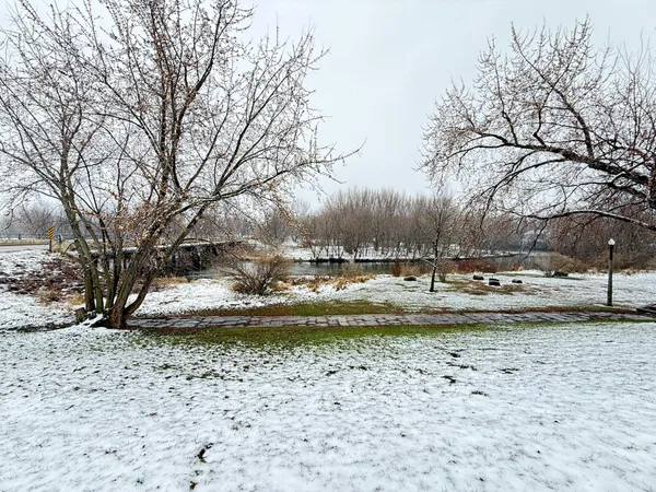$129,000 | 31 West Wilkening Avenue, Appleton, MN 56208