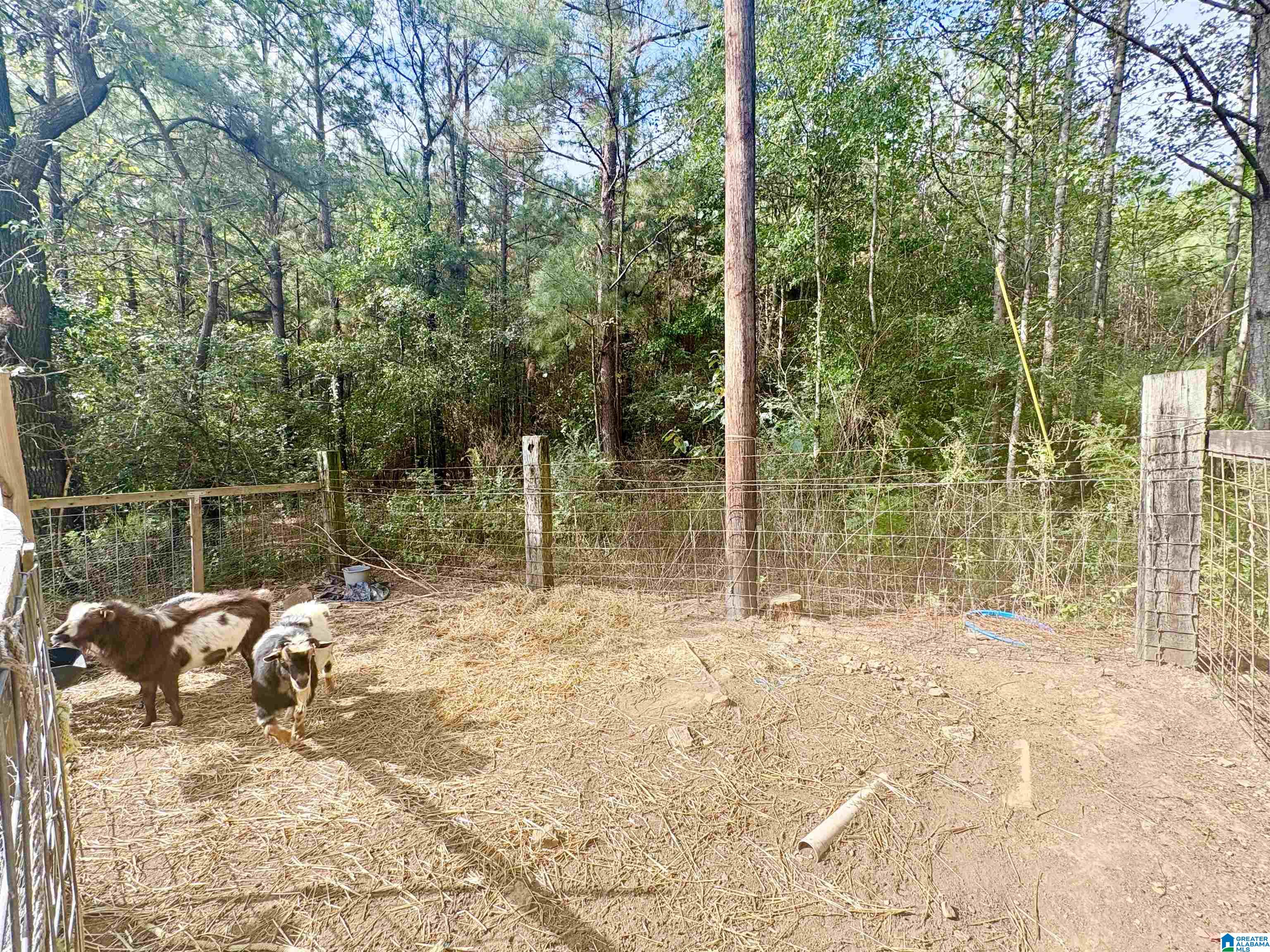 55 Honeycutt Road, Unit 55 Remlap, AL 35133 - Photo 8 of 21