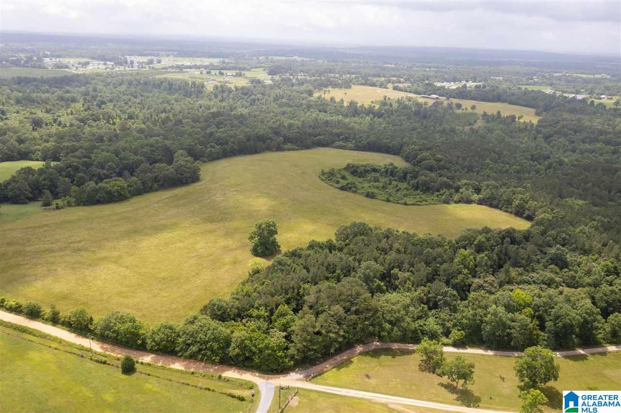 0 County Road 368 Verbena, AL 36091 - Photo 3 of 13
