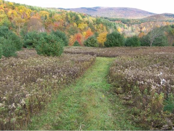 2157 East Wells Road Wells, VT 05774 - Photo 1 of 1 Gallery Image 1