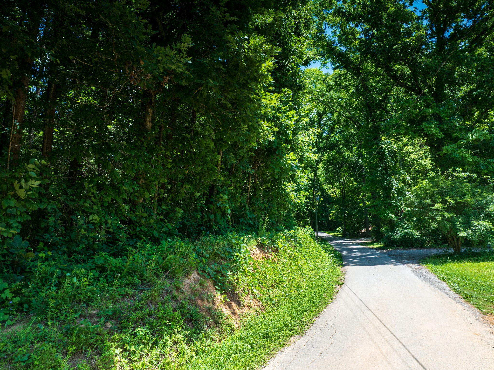 1175 McGhee Road Greenback, TN 37742 - Photo 21 of 31
