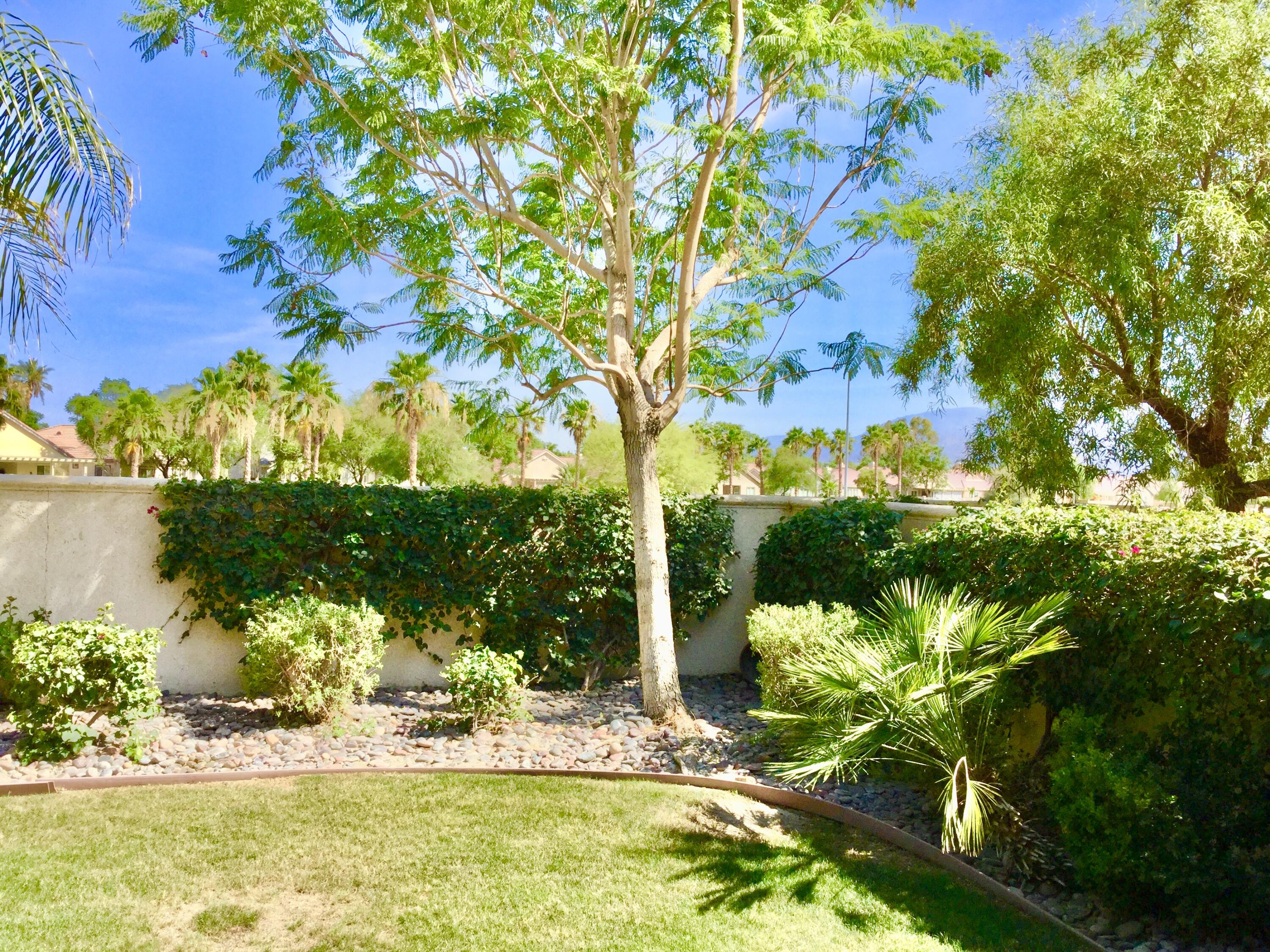 82775 Burnette Drive Indio, CA 92201 - Photo 2 of 25 IMG_1671