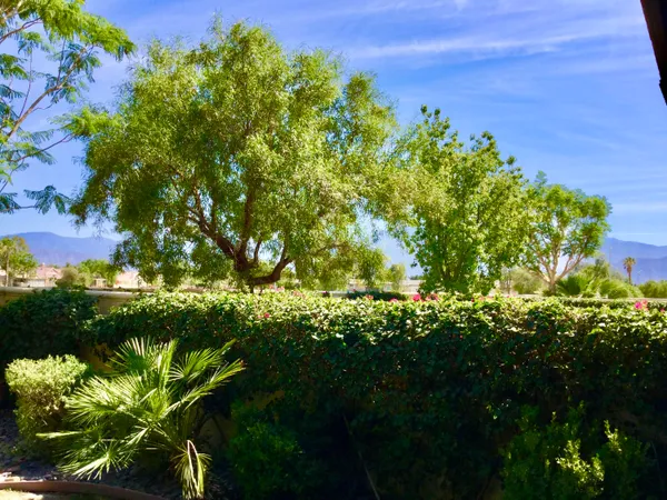 a view of a garden