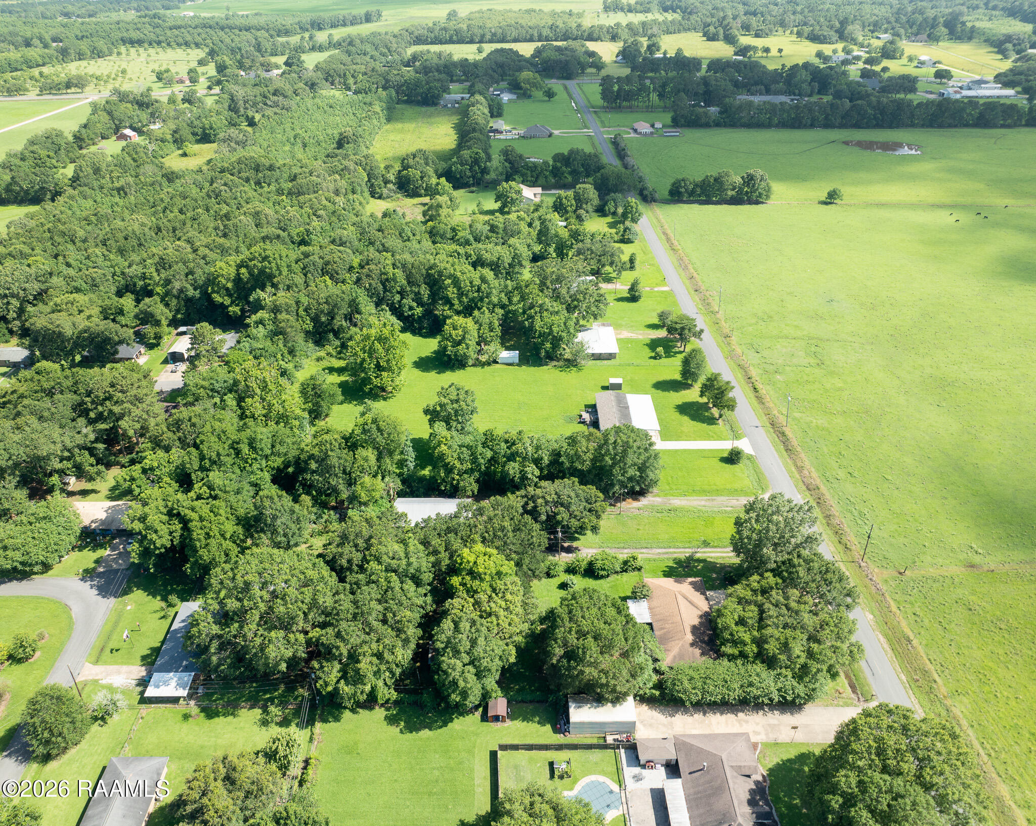 313 Colt Avenue Ville Platte, LA 70586 - Photo 29 of 31