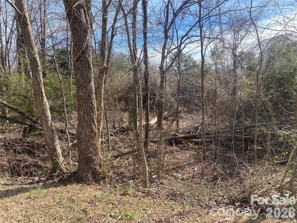 9200 Legranger Road Charlotte, NC 28262 - Photo 2 of 2 a backyard of a house with lots of green space