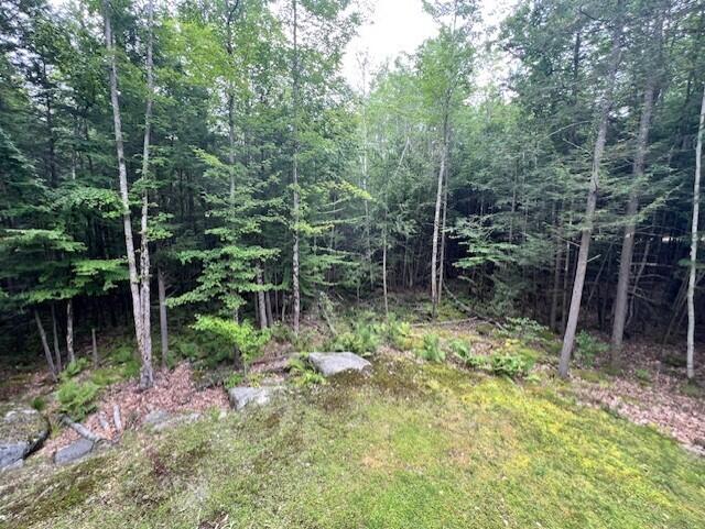 5 Pine Circle Standish, ME 04084 - Photo 36 of 42 thumbnail_IMG_3984 (1)