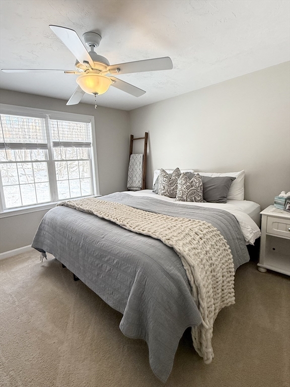 74 Fairview Park Road Sturbridge, MA 01566 - Photo 15 of 19