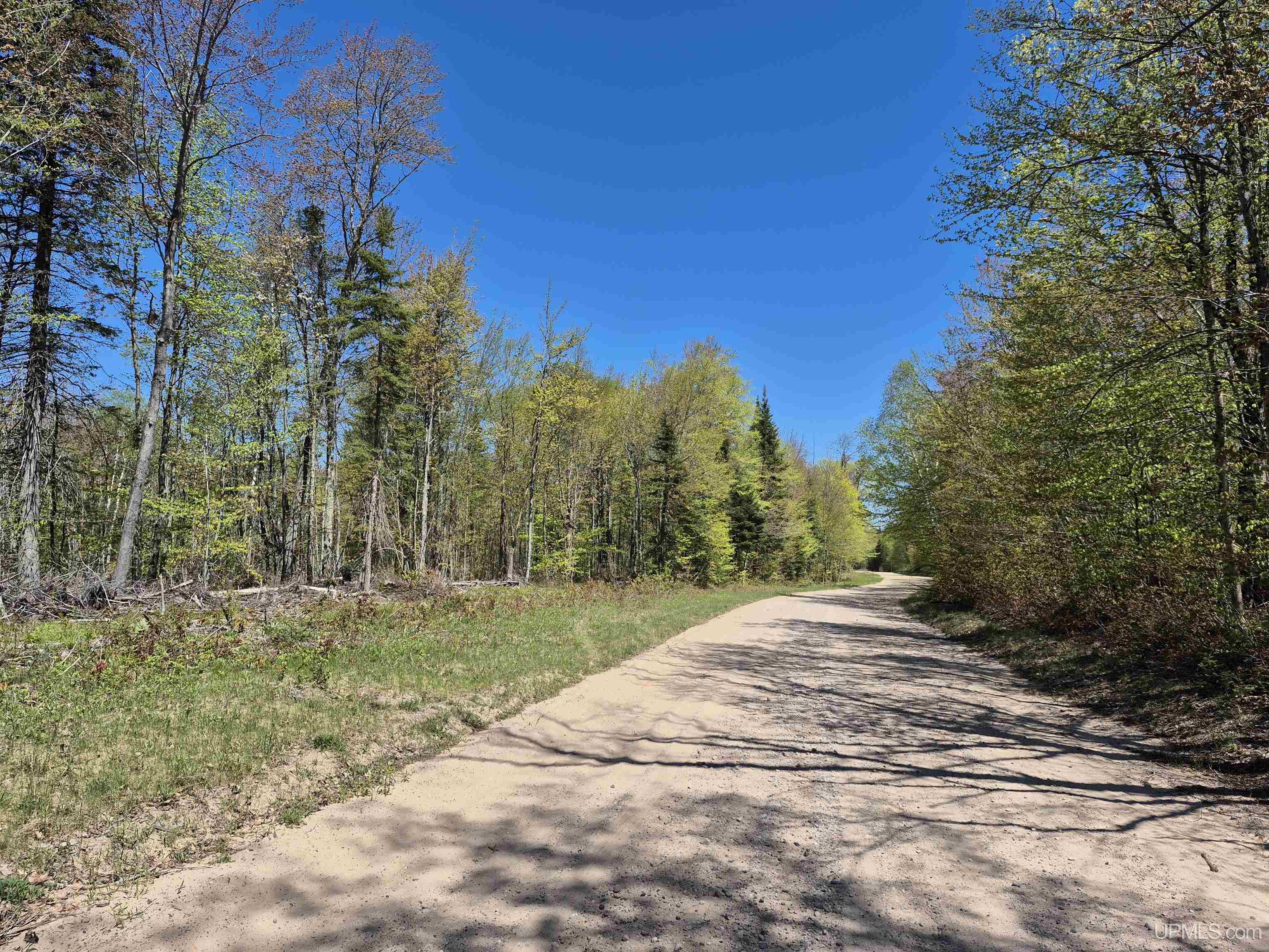 South 8-acres Perch Lake Road Munising, MI 49862 - Photo 6 of 44 Gallery Image 6