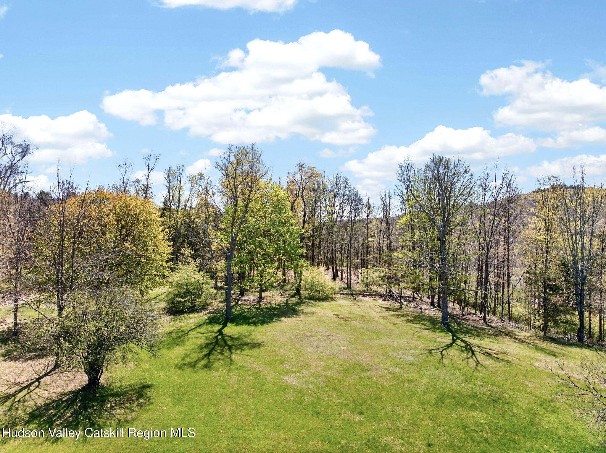 1429 Jackson Corners Road Red Hook, NY 12571 - Photo 53 of 59 a view of a yard with swimming pool and sitting area