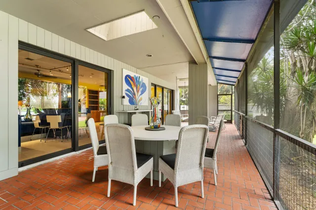 a view of a garden with plants