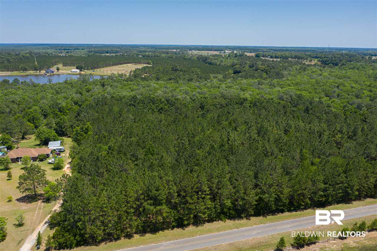 24690 Newport Road Robertsdale, AL 36567 - Photo 3 of 9 Close to Highway 90