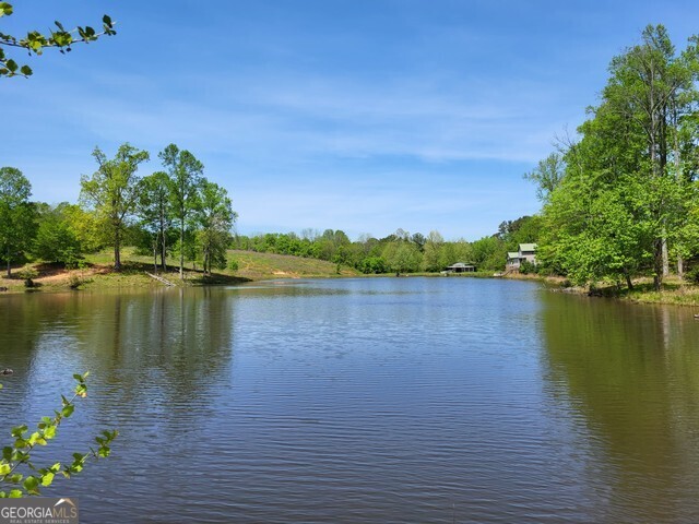 2894 Chase Road Cornelia, GA 30531 - Photo 2 of 142