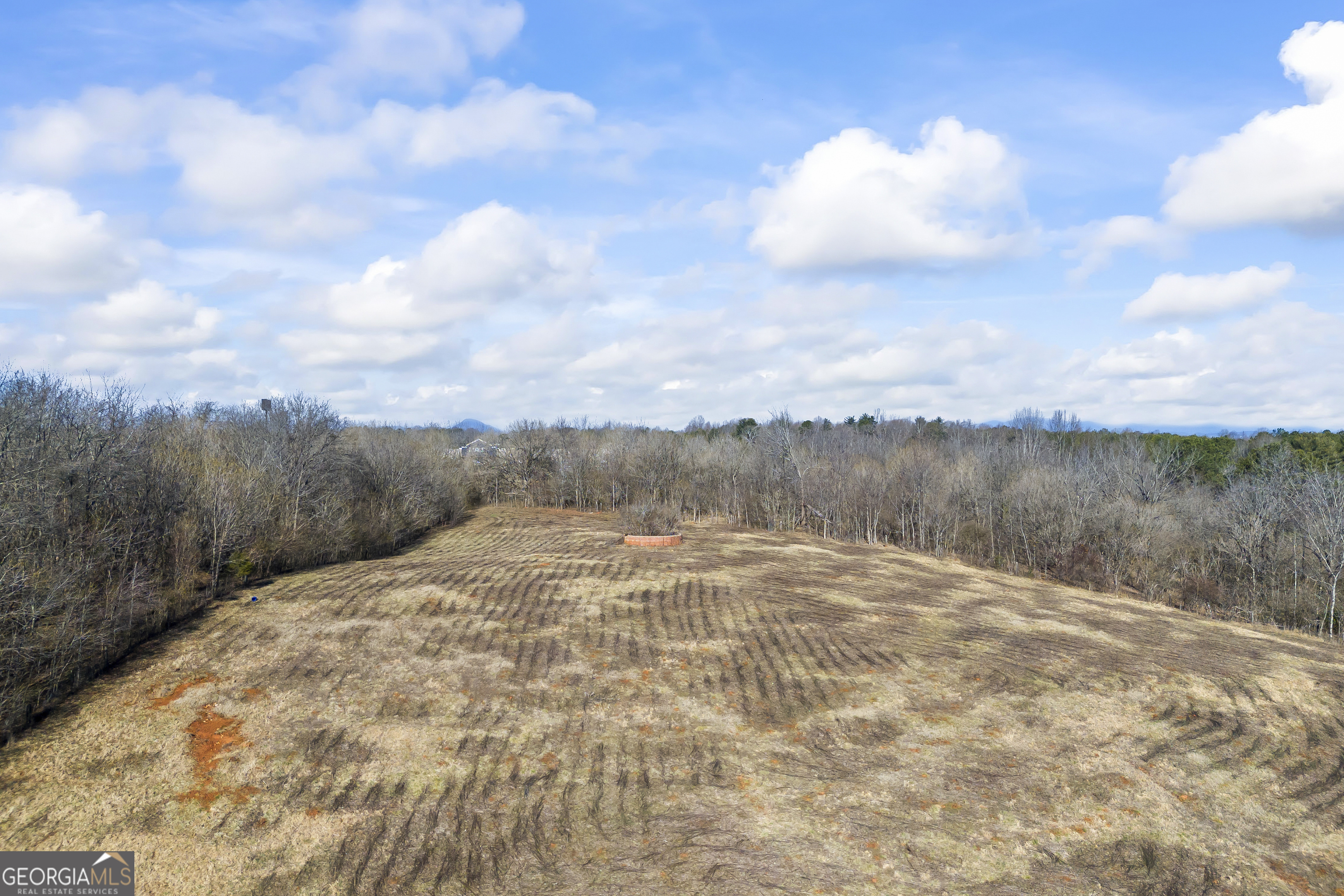 2894 Chase Road Cornelia, GA 30531 - Photo 9 of 142