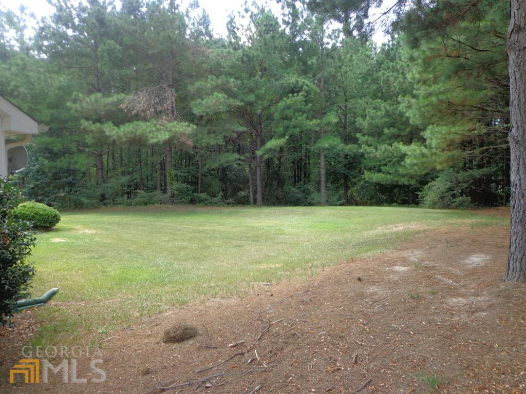 45 Chemin Place Sharpsburg, GA 30277 - Photo 22 of 26 a view of a field with trees in front of it