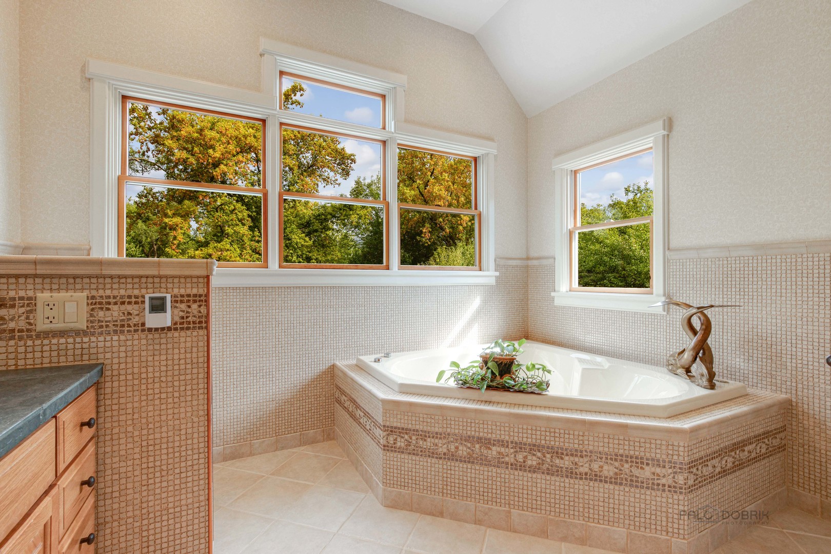 590 West Helen Road Palatine, IL 60067 - Photo 46 of 95 a bathroom with a tub and window