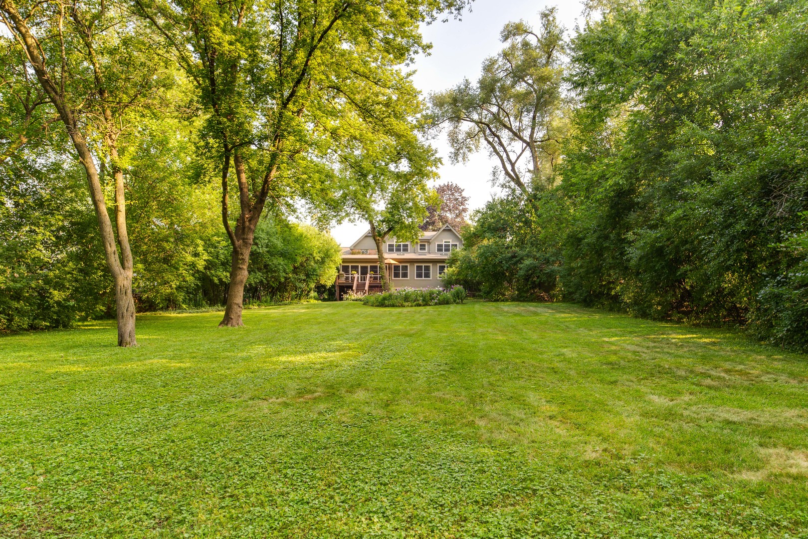 590 West Helen Road Palatine, IL 60067 - Photo 5 of 95 a view of a trees with a big yard