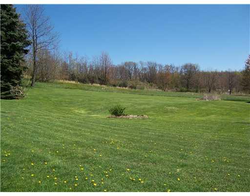 52 Cemetery Road Perryopolis, PA 15473 - Photo 13 of 14 Land/Lot. Side/part of back yard.