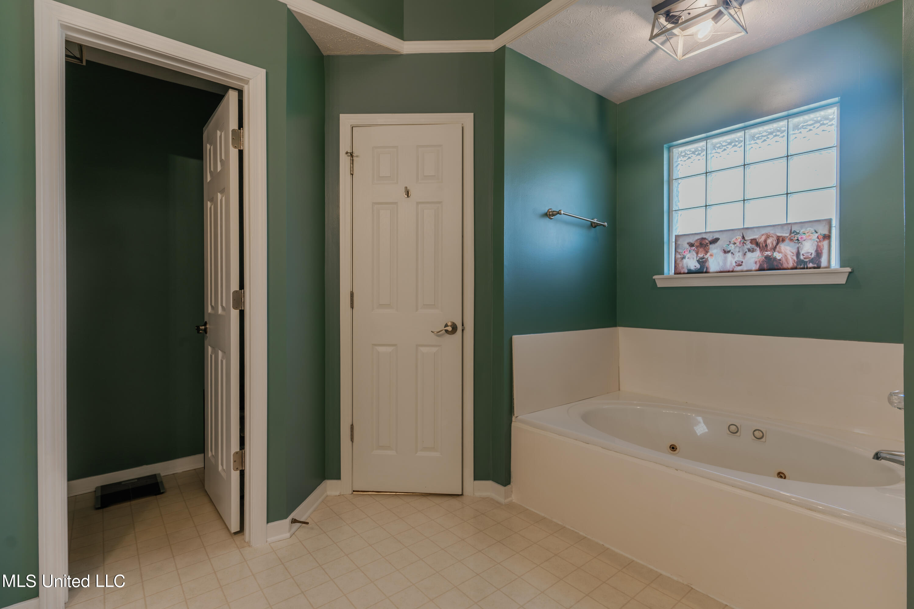 204 Ridge Park Cove Raymond, MS 39154 - Photo 37 of 64 37-PrimaryBathroom