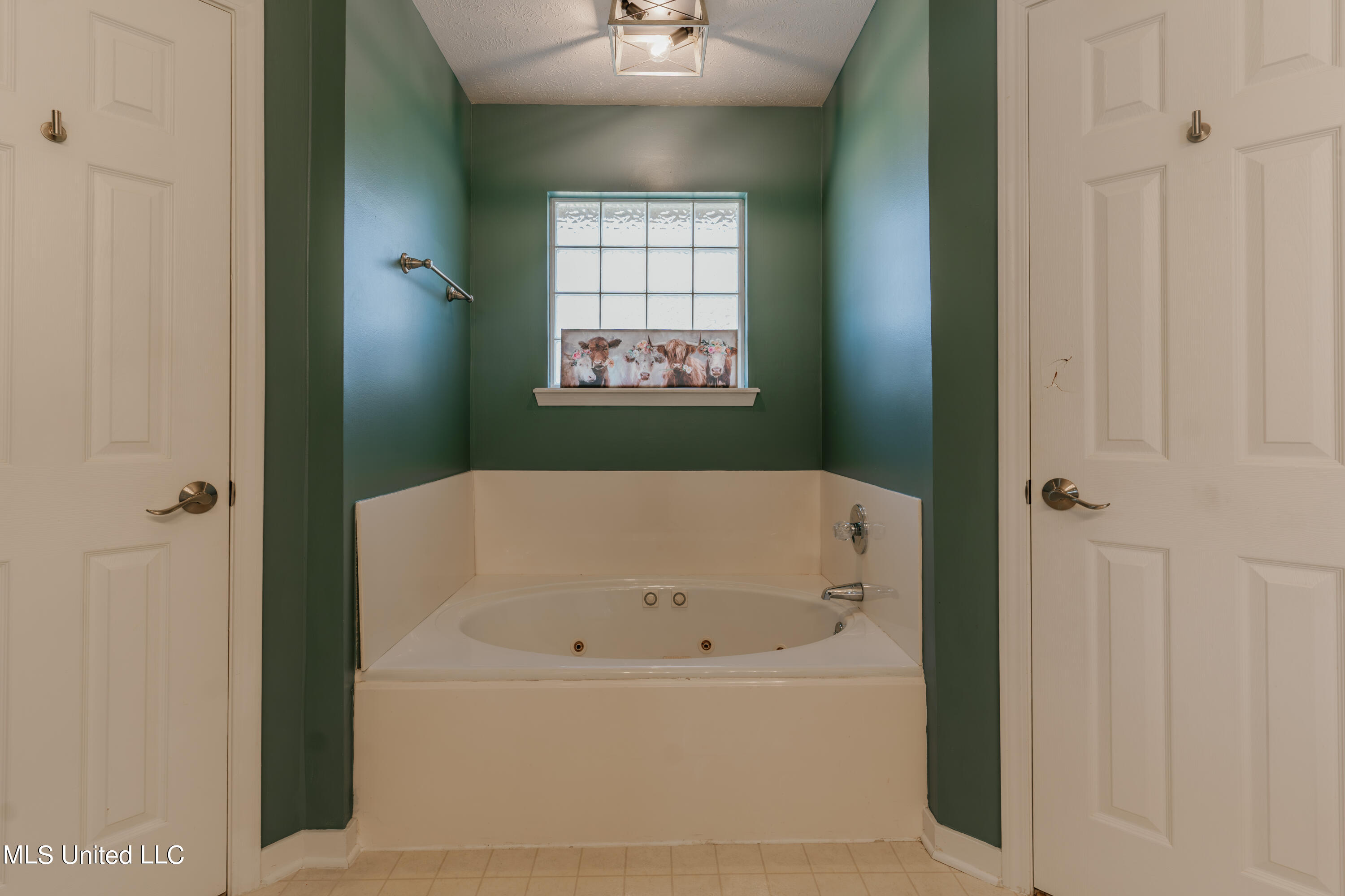 204 Ridge Park Cove Raymond, MS 39154 - Photo 38 of 64 38-PrimaryBathroom