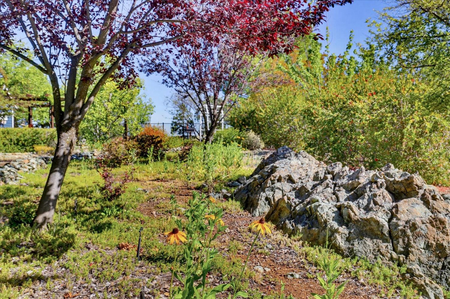 14470 Riva Ridge Circle Auburn, CA 95602 - Photo 67 of 81