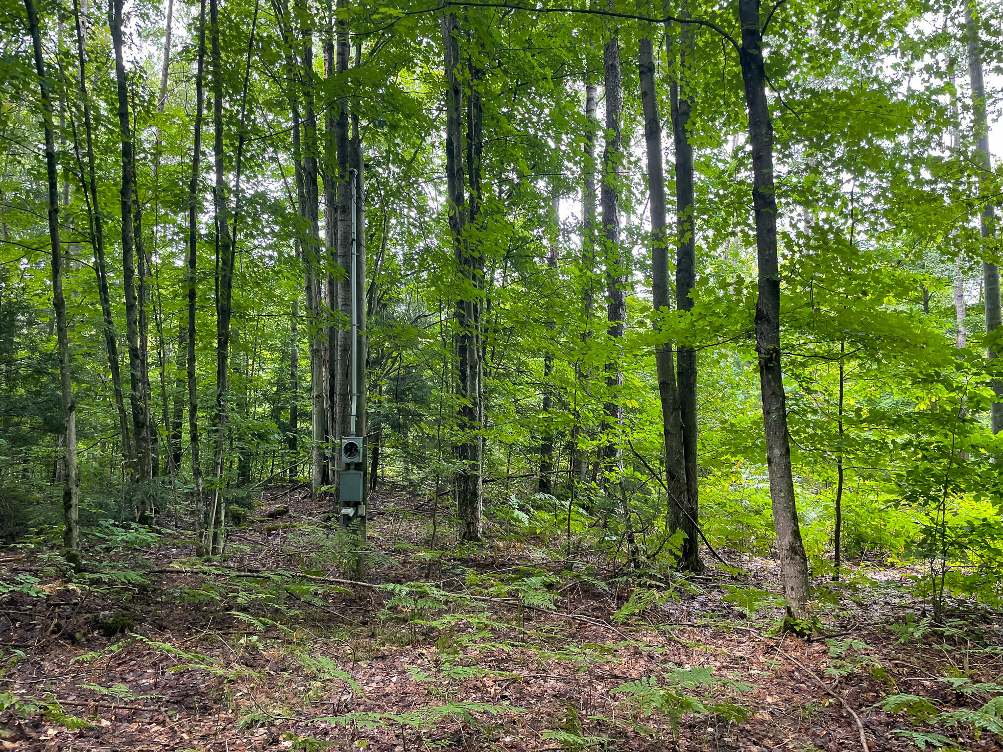 23535 15 Mile Road Leroy, MI 49655 - Photo 18 of 23 IMG_7986