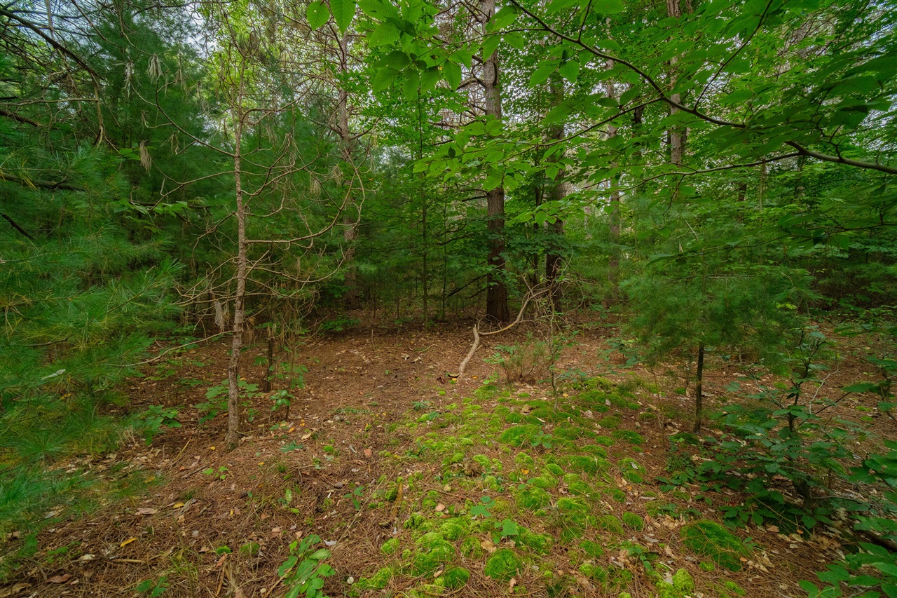 0 Erdman Road Onekama, MI 49675 - Photo 14 of 69 Gallery Image 14