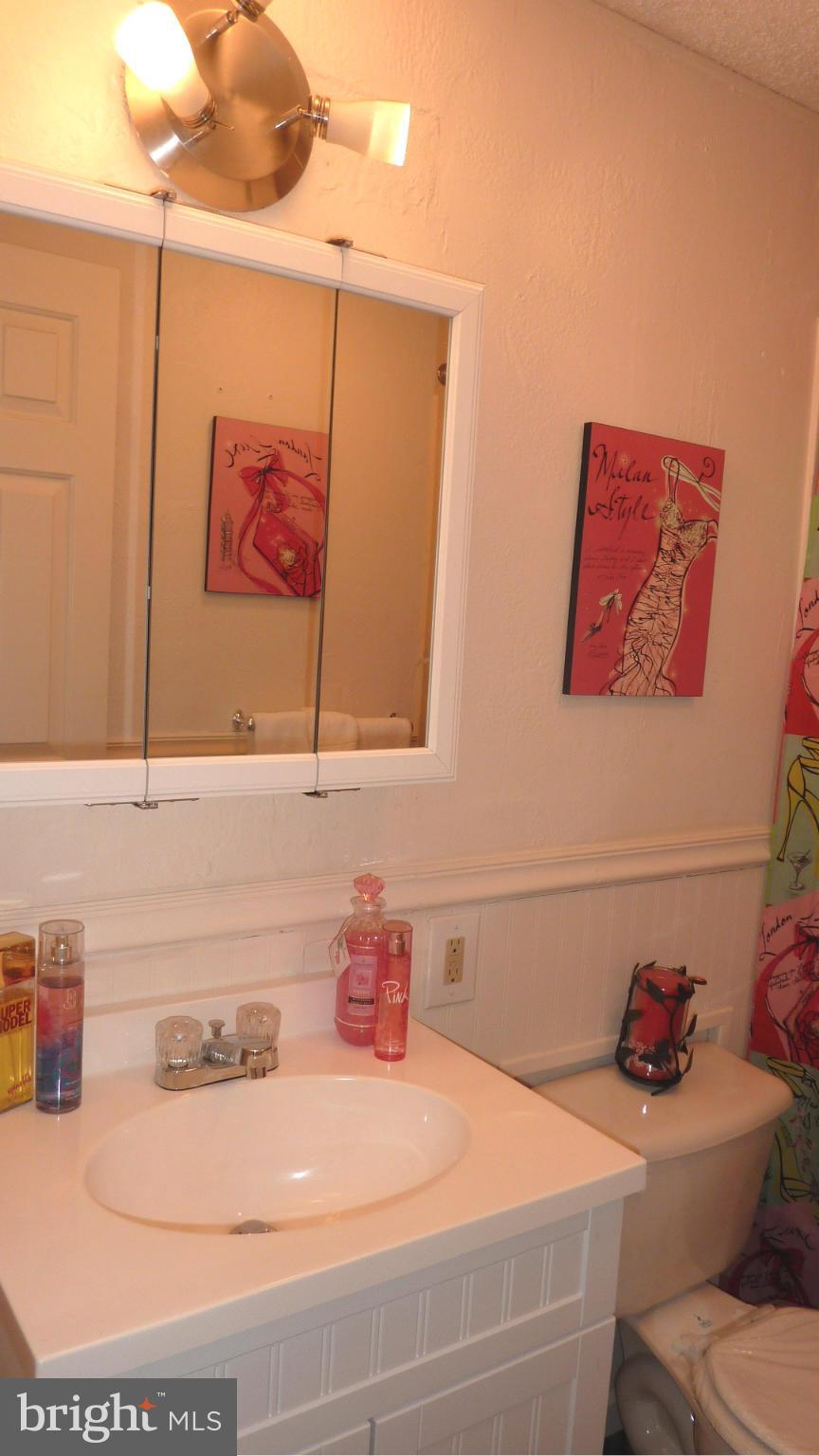 45870 South Springsteen Court California, MD 20619 - Photo 20 of 27 Bath