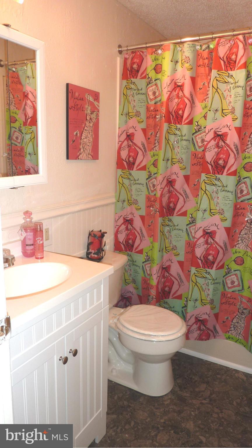 45870 South Springsteen Court California, MD 20619 - Photo 21 of 27 Bath (Master)