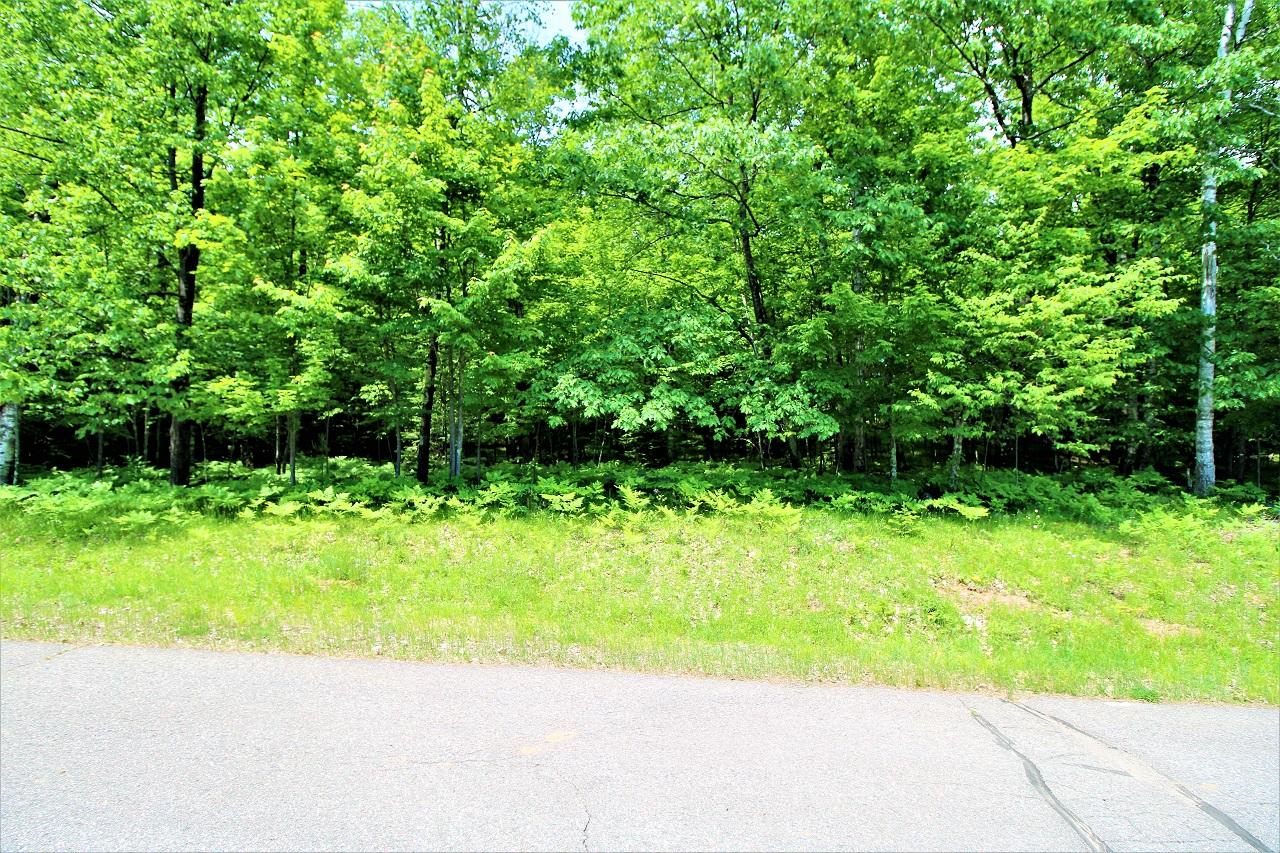 Tbd Wallace Road Mercer, WI 54547 - Photo 11 of 11 Gallery Image 11