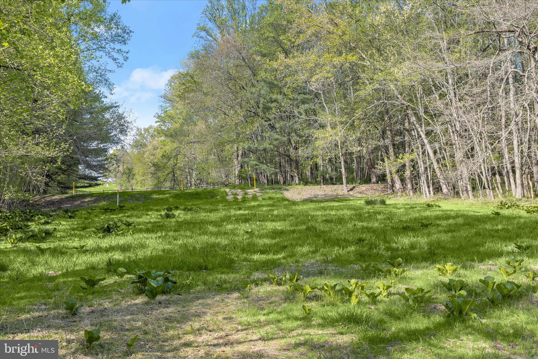 2204 Harmony Woods Road Owings Mills, MD 21117 - Photo 13 of 35 Grounds