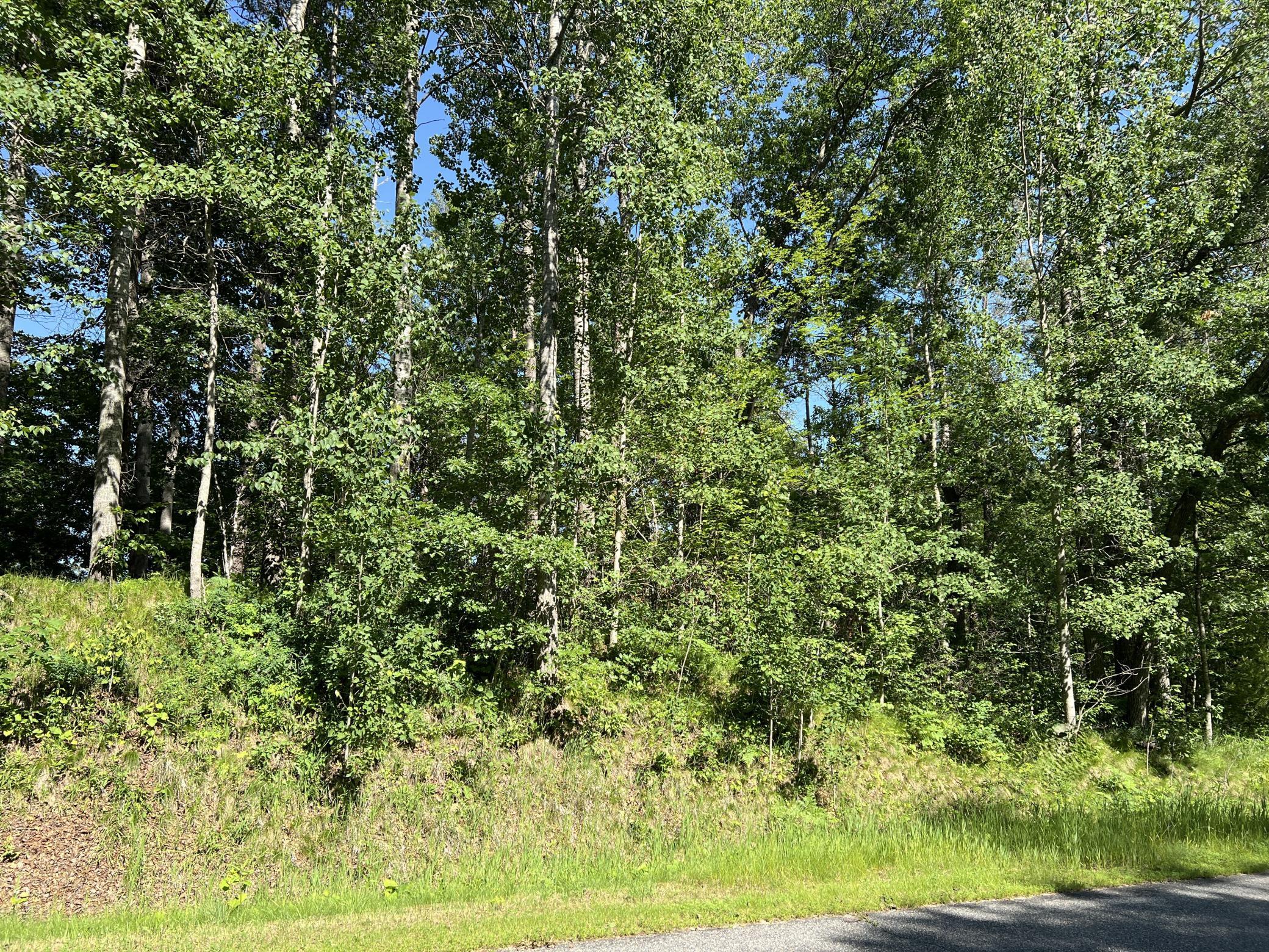 Lot 8 Terminal Road Breezy Point, MN 56472 - Photo 2 of 14