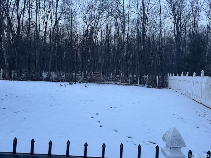 11 Razel Avenue Spring Valley, NY 10977 - Photo 3 of 3 Yard covered in snow with a forest view
