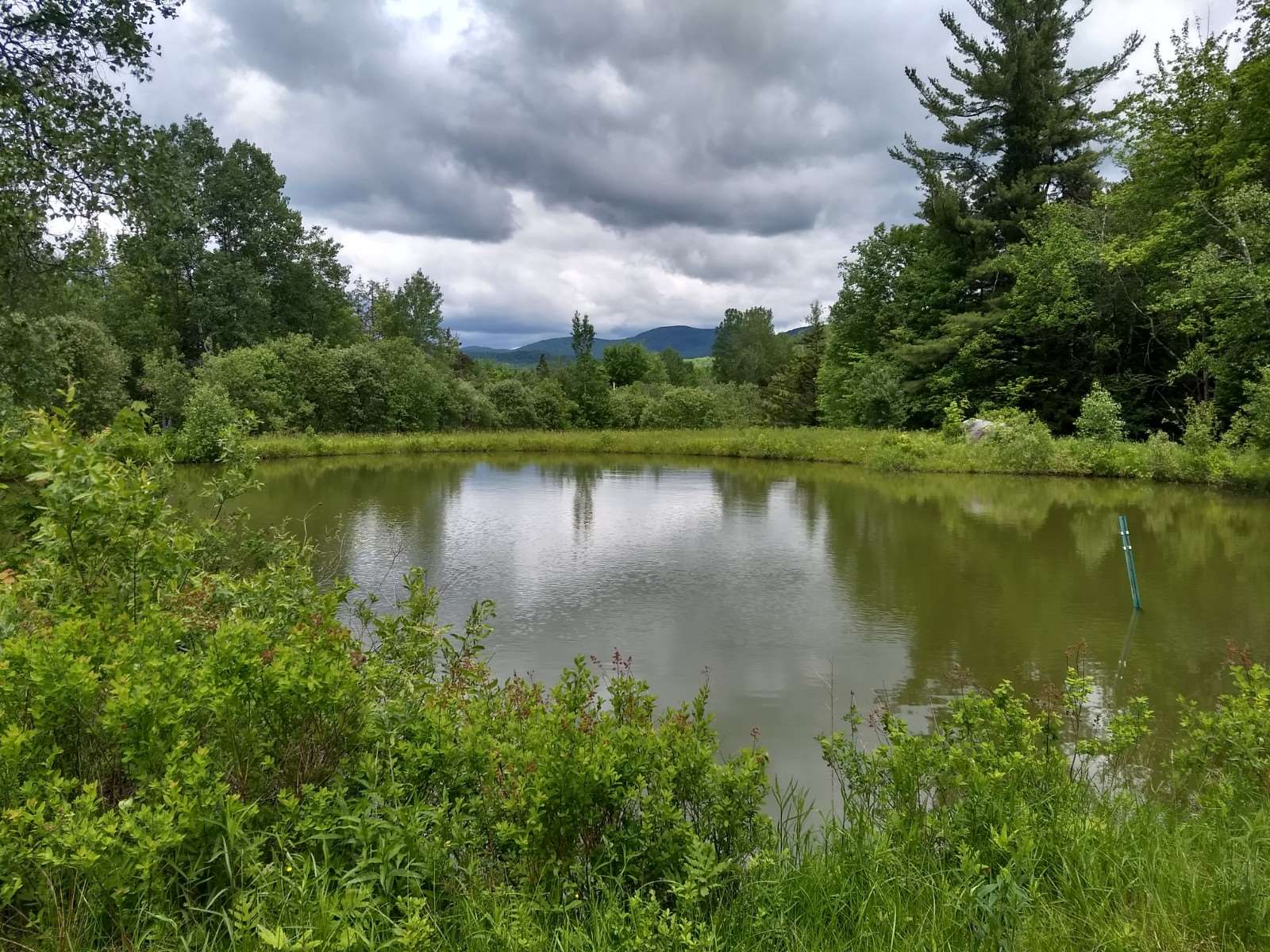 0 Montgomery Heights Road Montgomery Center, VT 05471 - Photo 1 of 4