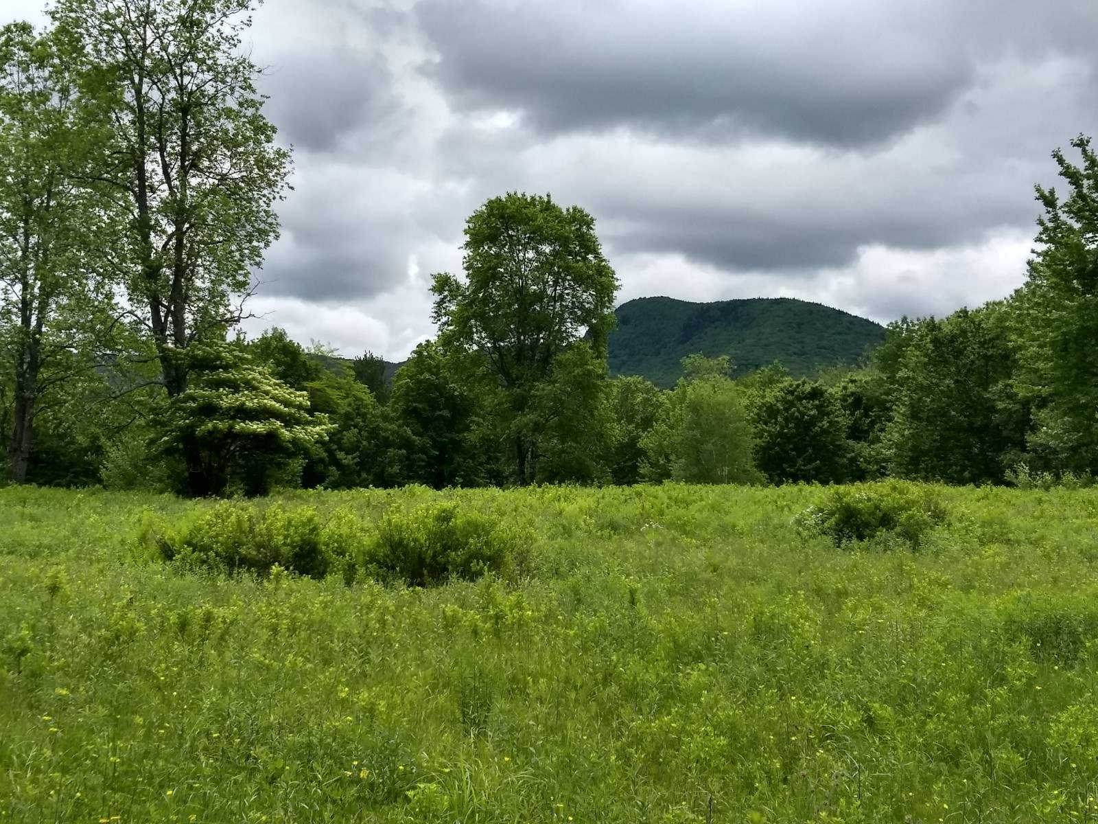 0 Montgomery Heights Road Montgomery Center, VT 05471 - Photo 2 of 4