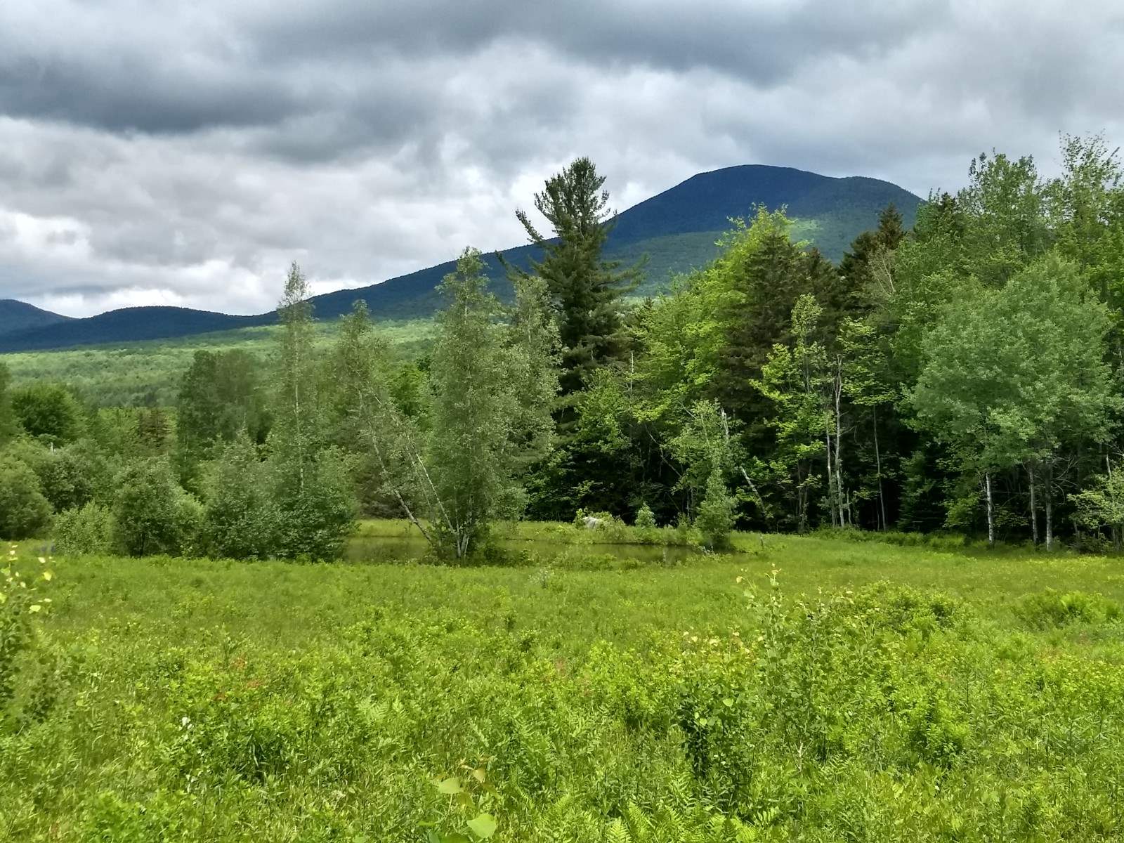 0 Montgomery Heights Road Montgomery Center, VT 05471 - Photo 3 of 4