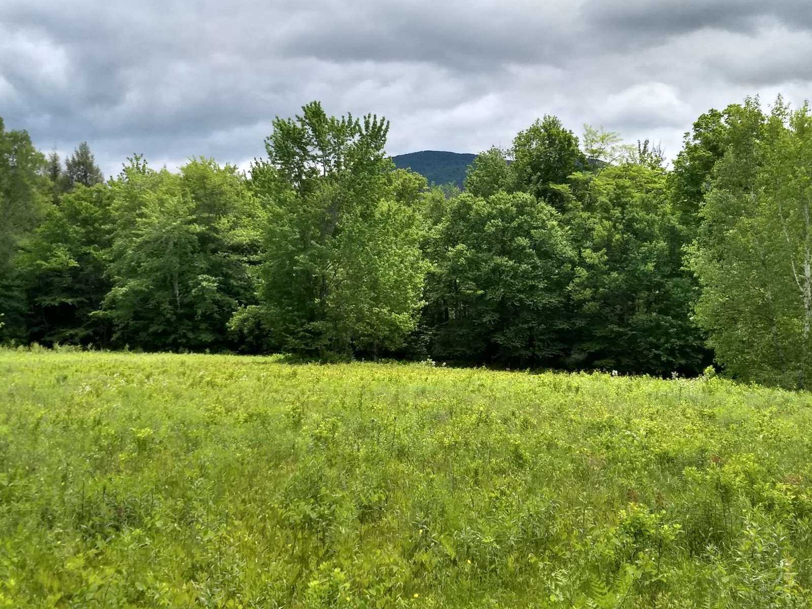 0 Montgomery Heights Road Montgomery Center, VT 05471 - Photo 4 of 4