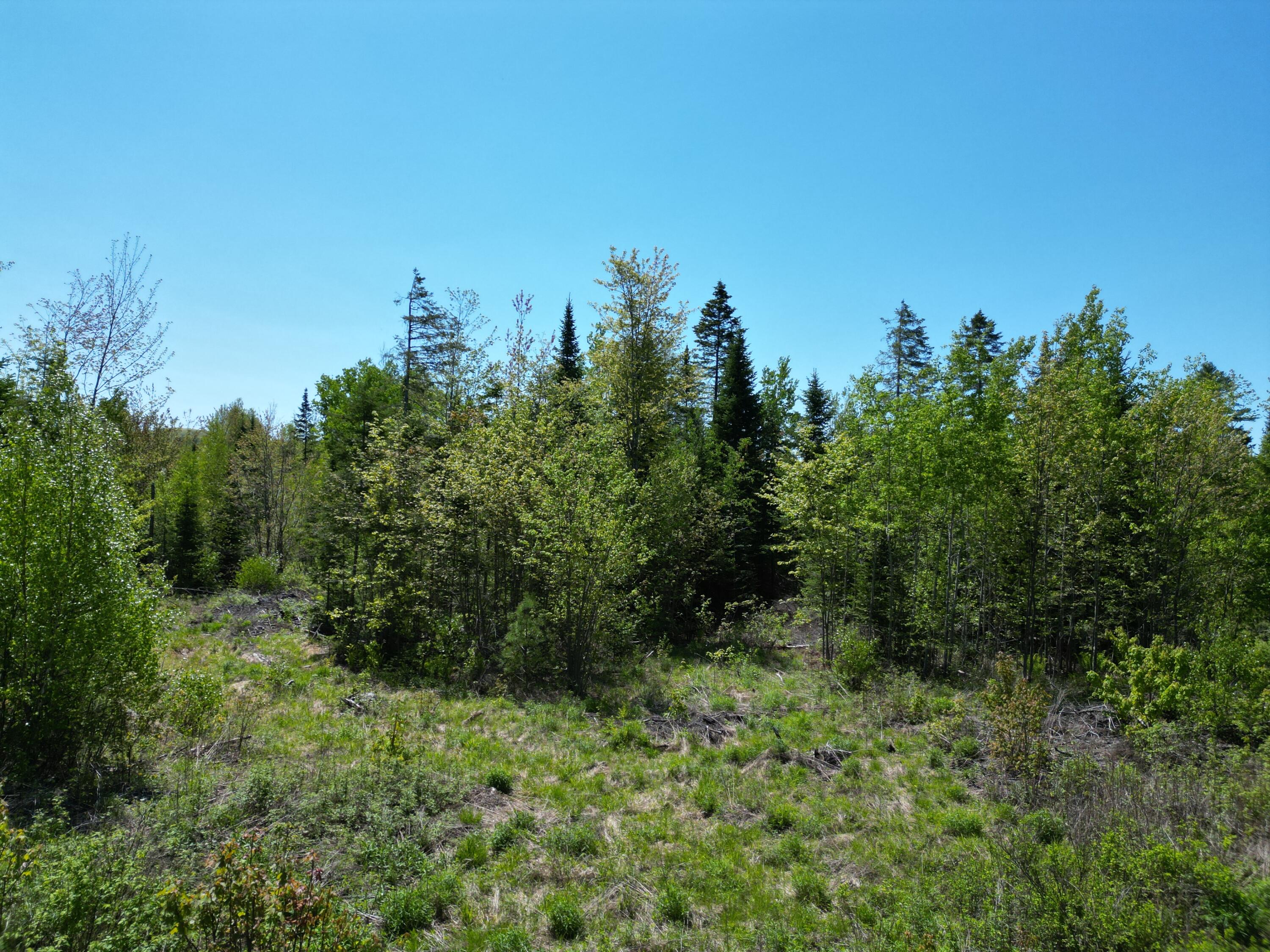 Lot 5 Fogg Brook Road Lowell, ME 04493 - Photo 12 of 18 DJI_0969
