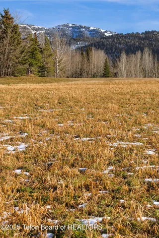 $950,000 | 125 Yellow Rose Drive, Alta, WY 83414