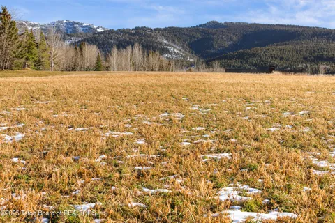 $950,000 | 125 Yellow Rose Drive, Alta, WY 83414