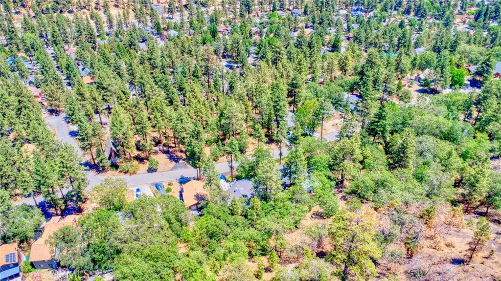 0 Oriole Road Wrightwood, CA 92397 - Photo 11 of 12 a view of a large tree with lots of plants
