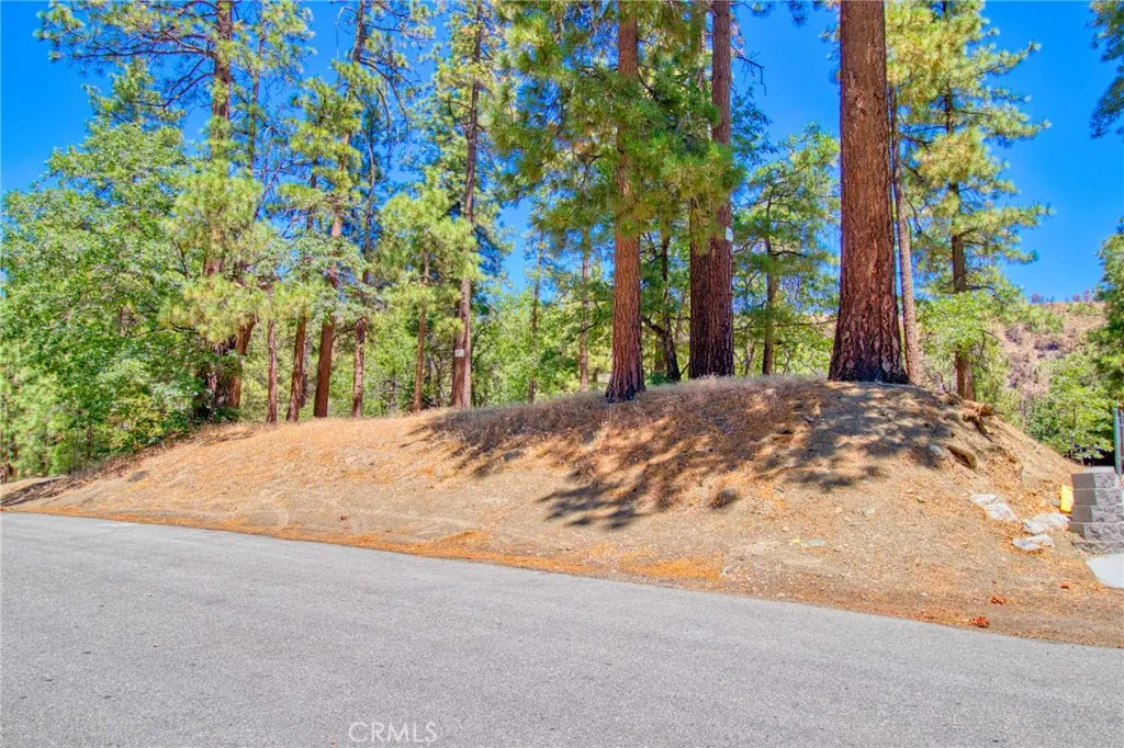 0 Oriole Road Wrightwood, CA 92397 - Photo 3 of 12 a view of a backyard of a house