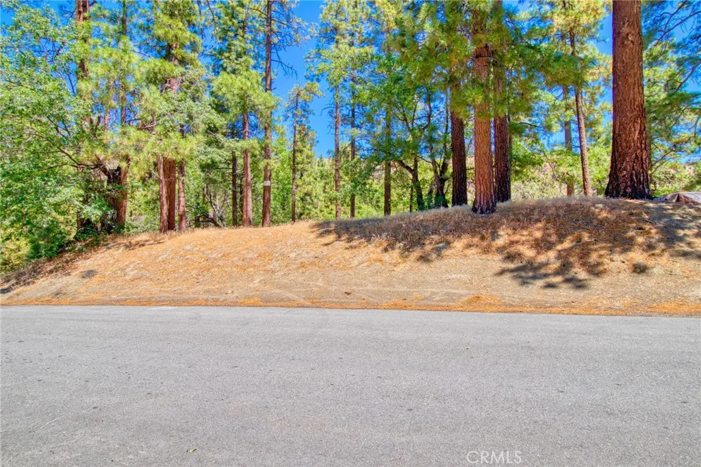 0 Oriole Road Wrightwood, CA 92397 - Photo 4 of 12 a view of a road with large trees